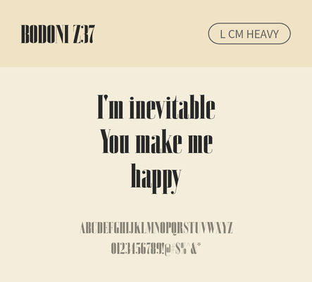 알파벳 영어 폰트 사람없음 OTF 낱개폰트 설치폰트 디자인서체 영문폰트 Bodoni_서체 BodoniZ37L_서체 Typodermic_서체 세리프체 헤비체 문자 파일형식