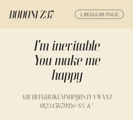 알파벳 영어 폰트 사람없음 OTF 레귤러체 낱개폰트 설치폰트 디자인서체 영문폰트 Bodoni_서체 BodoniZ37L_서체 Typodermic_서체 세리프체 이탤릭체 문자 파일형식