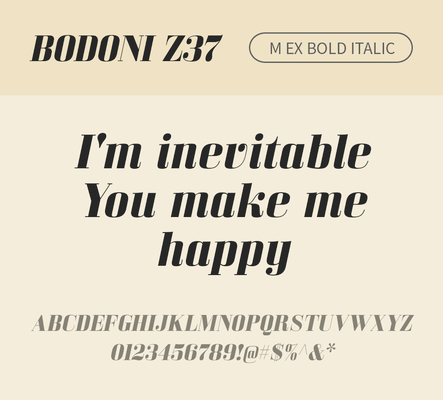 알파벳 영어 폰트 사람없음 OTF 볼드체 낱개폰트 설치폰트 디자인서체 영문폰트 Bodoni_서체 BodoniZ37M_서체 Typodermic_서체 세리프체 이탤릭체 문자 파일형식