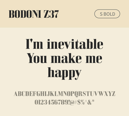 알파벳 영어 폰트 사람없음 OTF 볼드체 낱개폰트 설치폰트 디자인서체 영문폰트 Bodoni_서체 BodoniZ37S_서체 Typodermic_서체 세리프체 문자 파일형식