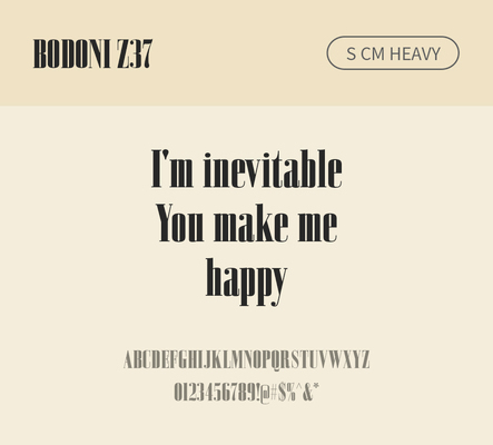 알파벳 영어 폰트 사람없음 OTF 낱개폰트 설치폰트 디자인서체 영문폰트 Bodoni_서체 BodoniZ37S_서체 Typodermic_서체 세리프체 헤비체 문자 파일형식