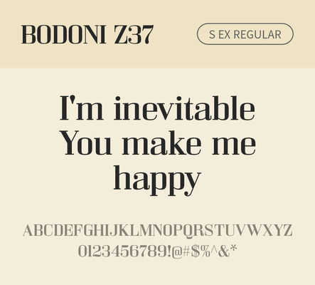 알파벳 영어 폰트 사람없음 OTF 레귤러체 낱개폰트 설치폰트 디자인서체 영문폰트 Bodoni_서체 BodoniZ37S_서체 Typodermic_서체 세리프체 문자 파일형식