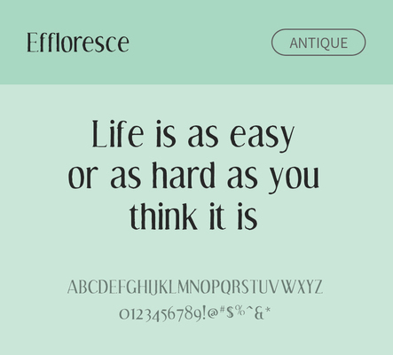 알파벳 영어 폰트 사람없음 OTF 낱개폰트 설치폰트 디자인서체 영문폰트 Typodermic_서체 세리프체 effloresce_서체 effloresceantique_폰트 문자 파일형식