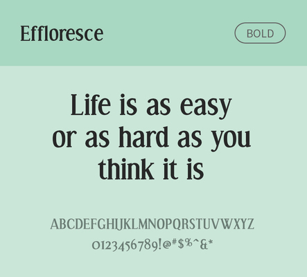 알파벳 영어 폰트 사람없음 OTF 볼드체 낱개폰트 설치폰트 디자인서체 영문폰트 Typodermic_서체 세리프체 effloresce_서체 문자 파일형식