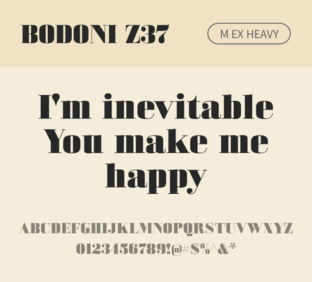 알파벳 영어 폰트 사람없음 OTF 낱개폰트 설치폰트 디자인서체 영문폰트 Bodoni_서체 BodoniZ37M_서체 Typodermic_서체 세리프체 헤비체 문자 파일형식