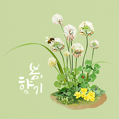 PSD 한마리 손글씨 일러스트 글자캘리그라피 사람없음 연두색 봄 들꽃 토끼풀 벌 무당벌레 세잎클로버 싱그러움 토끼풀꽃 국내일러스트 식물 1 계절 꽃 곤충 캘리그라피 초록색 클로버 파일형식