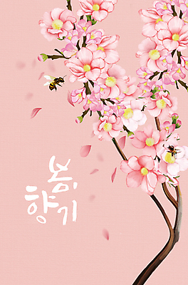 PSD 손글씨 꽃잎 분홍색 두마리 일러스트 봄꽃 글자캘리그라피 사람없음 봄 벚꽃 나뭇가지 벚나무 벌 꽃봉오리 낙화 싱그러움 국내일러스트 나무 계절 꽃 컬러 곤충 2 캘리그라피 파일형식