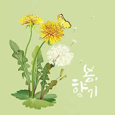 PSD 손글씨 나비 두마리 일러스트 글자캘리그라피 사람없음 연두색 봄 민들레 무당벌레 민들레홀씨 싱그러움 민들레잎 국내일러스트 계절 꽃 곤충 2 캘리그라피 초록색 나물 파일형식