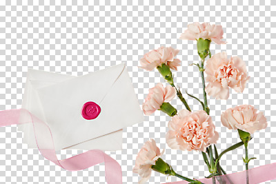 편집 편집이미지 여러송이 편지봉투 누끼 사람없음 편지 카네이션 오브젝트 초대장 PNG 씰링왁스 편집소스 오간디리본 꽃 리본 다수 봉투 카드_감사 파일형식