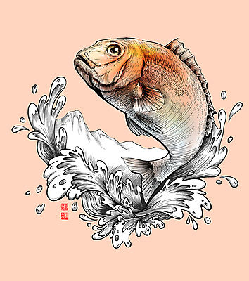 PSD 한마리 일러스트 산 사람없음 물 물방울 신선 해산물 튀는물 도미 낙관 드로잉 살구색 스플래쉬 국내일러스트 자연요소 1 컬러 어류 미술 액체표현 파일형식