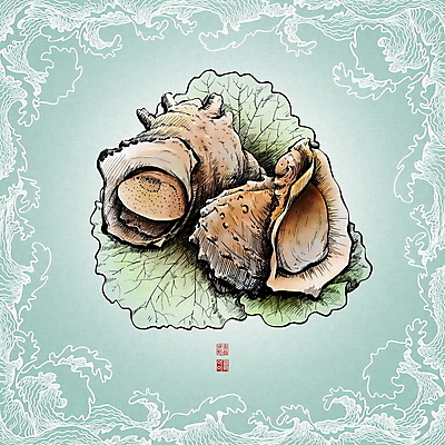 PSD 물결 파도 일러스트 사람없음 신선 소라 상추 해산물 낙관 드로잉 물결무늬 민트색 뿔소라 참소라 국내일러스트 바다 컬러 무늬 채소 어패류 미술 파일형식