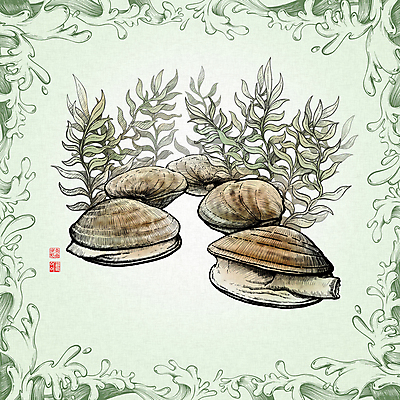 PSD 물결 파도 일러스트 조개 사람없음 연두색 신선 해초 해산물 낙관 드로잉 물결무늬 바지락 국내일러스트 바다 무늬 어패류 미술 초록색 해조류 파일형식