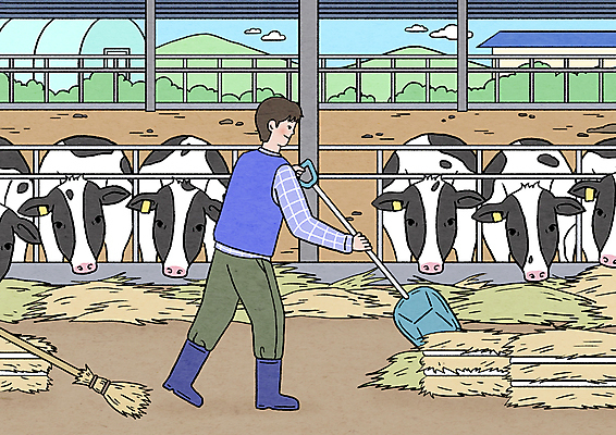 전신 PSD 남자 여러마리 일러스트 한명 들기 성인 농가 목장 시골 볏짚 먹이 빗자루 삽 축사 젖소 정리 비닐하우스 낙농업 성인남자한명만 국내일러스트 1 건축물 산업 다수 농업 모션 사람 농장 소 짚 축산업 청소도구 남자한명만 성인남자만 파일형식