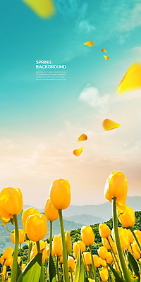PSD 구름 편집이미지 꽃잎 꽃밭 자연 하늘 산 사람없음 맑음 봄풍경 봄 튤립 봄배경 이미지편집 자연요소 계절 꽃 백그라운드 날씨 풍경 생태계 파일형식