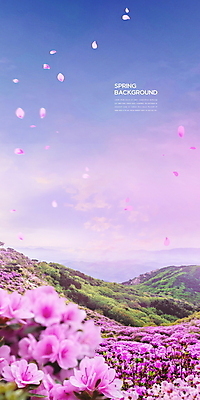 PSD 구름 편집이미지 꽃잎 꽃밭 자연 하늘 산 사람없음 맑음 보라색 봄풍경 봄 철쭉 봄배경 이미지편집 자연요소 계절 꽃 컬러 백그라운드 날씨 풍경 생태계 파일형식