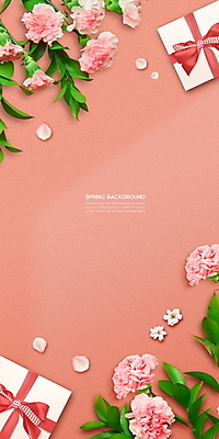 PSD 편집이미지 꽃잎 꽃 리본 사람없음 선물상자 봄 풀 카네이션 코랄 봄배경 이미지편집 식물 계절 컬러 백그라운드 선물 상자 파일형식