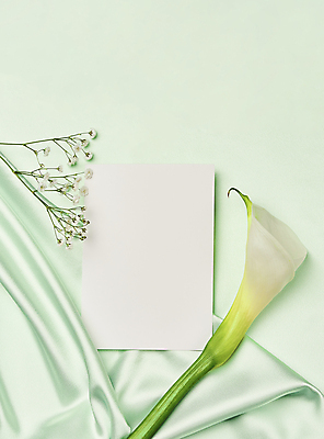 포토 JPG 스튜디오촬영 백그라운드 실내 사람없음 연두색 하이앵글 주름 실크 카라 질감 안개꽃 목업 카피스페이스 초록배경 국내포토 카드프레임 꽃 뷰포인트 프레임 내부 초록색 공백 직물 한해살이풀 파일형식