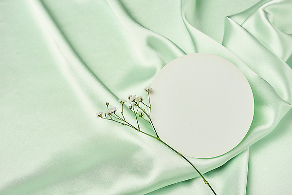 포토 JPG 스튜디오촬영 백그라운드 실내 사람없음 연두색 하이앵글 주름 실크 질감 안개꽃 목업 카피스페이스 초록배경 국내포토 꽃 뷰포인트 내부 초록색 공백 직물 한해살이풀 파일형식