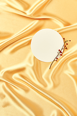 포토 JPG 스튜디오촬영 백그라운드 실내 사람없음 하이앵글 노란색 나뭇가지 주름 실크 질감 까치밥나무열매 노란배경 목업 카피스페이스 국내포토 나무 열매 뷰포인트 컬러 내부 공백 직물 파일형식