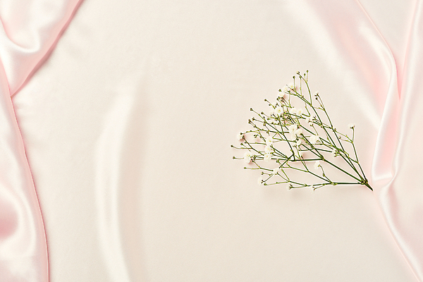 포토 JPG 스튜디오촬영 분홍색 백그라운드 실내 사람없음 하이앵글 주름 실크 질감 안개꽃 카피스페이스 분홍색배경 국내포토 꽃 뷰포인트 컬러 내부 공백 직물 한해살이풀 파일형식