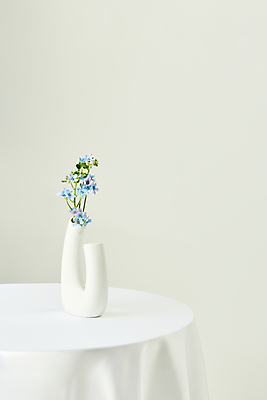 포토 JPG 스튜디오촬영 백그라운드 실내 사람없음 꽃병 실크 흰배경 원형탁자 카피스페이스 옥시 국내포토 꽃 탁자 내부 공백 흰색 직물 파일형식