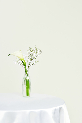 포토 JPG 스튜디오촬영 백그라운드 실내 사람없음 꽃병 실크 카라 흰배경 질감 안개꽃 원형탁자 카피스페이스 국내포토 꽃 탁자 내부 공백 흰색 직물 한해살이풀 파일형식