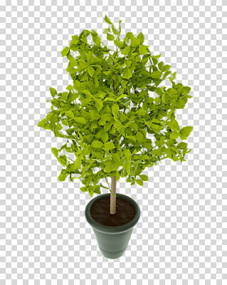 나무 편집 편집이미지 화분 화초 누끼 사람없음 3D소스 3D 디지털합성 분재 PNG 편집소스 식물 파일형식