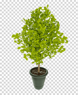 나무 편집 편집이미지 화분 화초 누끼 사람없음 3D소스 3D 디지털합성 분재 PNG 편집소스 식물 파일형식