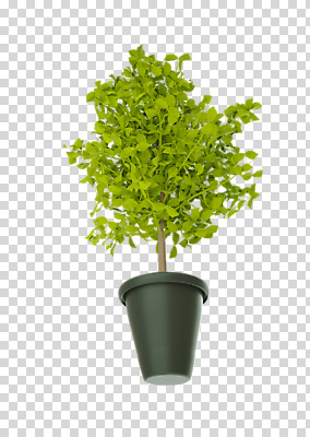 나무 편집 편집이미지 화분 화초 누끼 사람없음 3D소스 3D 디지털합성 분재 PNG 편집소스 식물 파일형식