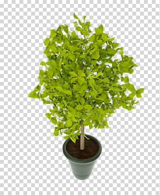 나무 편집 편집이미지 화분 화초 누끼 사람없음 3D소스 3D 디지털합성 분재 PNG 편집소스 식물 파일형식