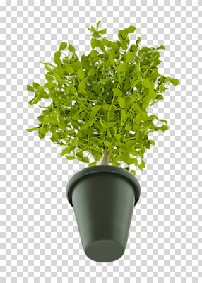 나무 편집 편집이미지 화분 화초 누끼 사람없음 3D소스 3D 디지털합성 분재 PNG 편집소스 식물 파일형식