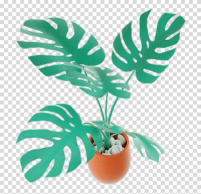 편집 편집이미지 화분 화초 누끼 사람없음 3D소스 3D 디지털합성 PNG 몬스테라 열대잎 편집소스 식물 잎 파일형식