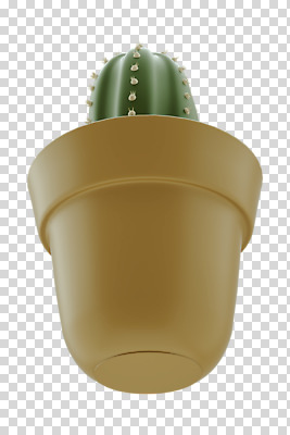 편집 편집이미지 화분 선인장 누끼 사람없음 3D소스 3D 디지털합성 PNG 선인장화분 편집소스 식물 파일형식