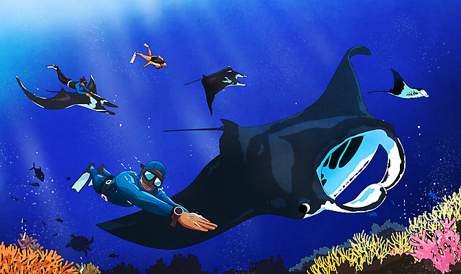 전신 PSD 여자 남자 수영복 바다 여러마리 일러스트 어류 성인 세명 바닷속 수영 스노클링 산호초 물안경 열대어 잠수복 성인만 프리다이빙 만타가오리 국내일러스트 옷 다수 사람 수중 수중동물 수상스포츠 수중식물 수영용품 가오리 파일형식