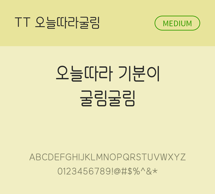 폰트 한글 사람없음 TTF 국문폰트 낱개폰트 설치폰트 디자인서체 미디움체 오늘따라굴림체 문자 파일형식 THE폰트