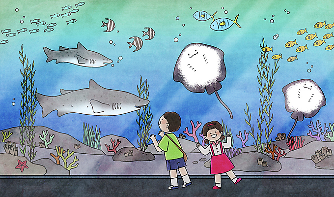 전신 PSD 응시 여자 남자 어린이 여러마리 일러스트 불가사리 어류 서기 소녀 소년 두명 수중동물 해초 구경 상어 수족관 가오리 아쿠아리움 어린이만 물고기떼 국내일러스트 동물 시선 다수 모션 극피동물 사람 해조류 파일형식