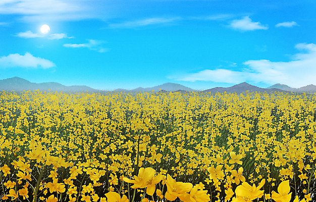 PSD 구름 백그라운드 일러스트 자연 하늘 산 풍경 사람없음 태양 맑음 유채 유채밭 국내일러스트 자연요소 꽃 밭 날씨 생태계 파일형식