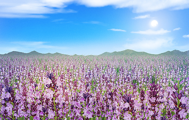 PSD 구름 백그라운드 꽃밭 일러스트 자연 하늘 산 풍경 사람없음 태양 맑음 라벤더 국내일러스트 자연요소 꽃 날씨 허브 생태계 파일형식