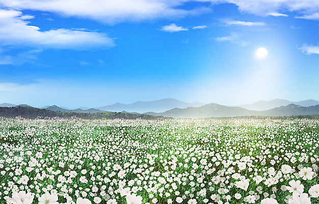 PSD 구름 백그라운드 꽃밭 일러스트 자연 하늘 산 풍경 사람없음 태양 맑음 안개꽃 국내일러스트 자연요소 꽃 날씨 생태계 한해살이풀 파일형식