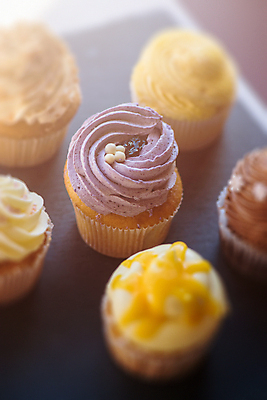 포토 JPG 해외이미지 디저트 사람없음 여러개 컵케이크 크림 해외포토 음식 다수 케이크 파일형식 이미지허브