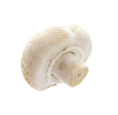 포토 JPG 해외이미지 음식 백그라운드 채소 재료 건강 사람없음 갈색 버섯 흰색 신선 먹기 유기농 날것 고립 곰팡이 해외포토 웰빙 컬러 모션 파일형식 이미지허브