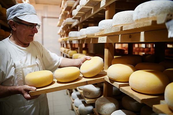 포토 JPG 해외이미지 노년 남자 공장 노동자 치즈 선반 작업복 한명 들기 상반신 옆모습 제조 저장 발효 수납 숙성 저장소 전통방식 노인남자한명만 해외포토 직업 1 전통 옷 뷰포인트 가구 공업 모션 유제품 사람 성인 남자한명만 노인남자만 파일형식 이미지허브