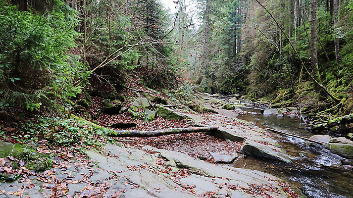 포토 JPG 해외이미지 나무 식물 계절 공원 여행 백그라운드 잎 모션 자연 하늘 산 이끼 사람없음 야외 목재 초록색 물 강 뷰티 환경 계곡 봄 폭포 젖음 흐름 신선 개울 떨어짐 숲 속도 내추럴 해외포토 자연요소 공공시설 컬러 컨셉 재료 생태계 파일형식 이미지허브