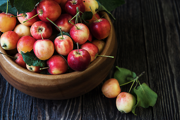 포토 JPG 해외이미지 과일 실내 사람없음 바구니 사과 가득함 담기 나무배경 미니사과 해외포토 백그라운드 모션 내부 파일형식 이미지허브