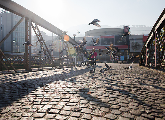 포토 JPG 해외이미지 전신 라이프스타일 여자 여러마리 조류 아침 건강 한명 성인 야외 앞모습 운동복 달리기 조깅 햇빛 유산소운동 러닝 성인여자한명만 해외포토 주간 동물 1 옷 뷰포인트 다수 모션 사람 생활 운동 태양 여자한명만 성인여자만 파일형식 이미지허브