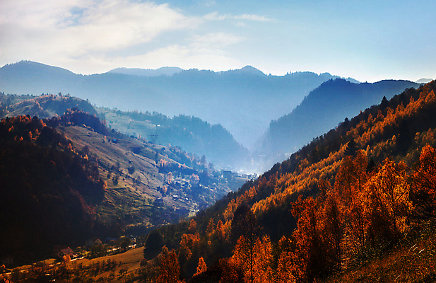 포토 JPG 해외이미지 주간 단풍 하늘 단풍나무 풍경 사람없음 야외 가을 전경 해외포토 자연요소 나무 계절 잎 파일형식 탑뷰 이미지허브