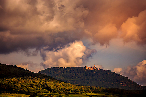 포토 JPG 해외이미지 포도 사람없음 와인 프랑스 시골 포도밭 해외포토 유럽 밭 과일 주류 파일형식 이미지허브
