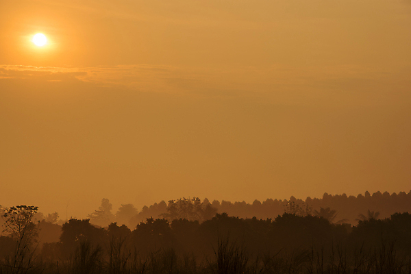 포토 JPG 해외이미지 백그라운드 오렌지 자연 하늘 아침 사람없음 야외 빨간색 파란색 빛 햇빛 태양 노란색 일출 맑음 황혼 일몰 저녁 수평선 해외포토 주간 자연요소 컬러 과일 날씨 노을 야간 생태계 파일형식 이미지허브