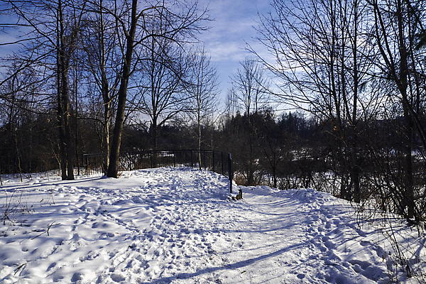 포토 JPG 해외이미지 나무 계절 벽 겨울 밭 자연 하늘 날씨 돌담 그림자 풍경 사람없음 야외 빛 햇빛 냉동 추위 바위 흰색 시골 발자국 시원함 2월 눈내림 해외포토 식물 컬러 농업 자국 눈_날씨 담장 태양 돌_바위 날짜 생태계 파일형식 이미지허브
