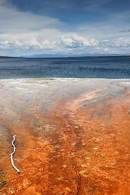 포토 JPG 해외이미지 나무 여행 백그라운드 북아메리카 휴가 산 국립공원 사람없음 물 파란색 강 미국 일몰 봄 새벽 캠핑 안개 뜨거움 개울 수증기 분화구 대야 끓이기 와이오밍 지열 지질학 프리즘 해외포토 자연요소 식물 계절 공원 교육 컬러 모션 레저 날씨 아메리카 노을 화산 광학기기 파일형식 이미지허브
